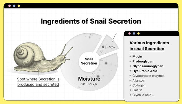 Ingredients of snail secretion filtrate – what is in COSRX snail mucin