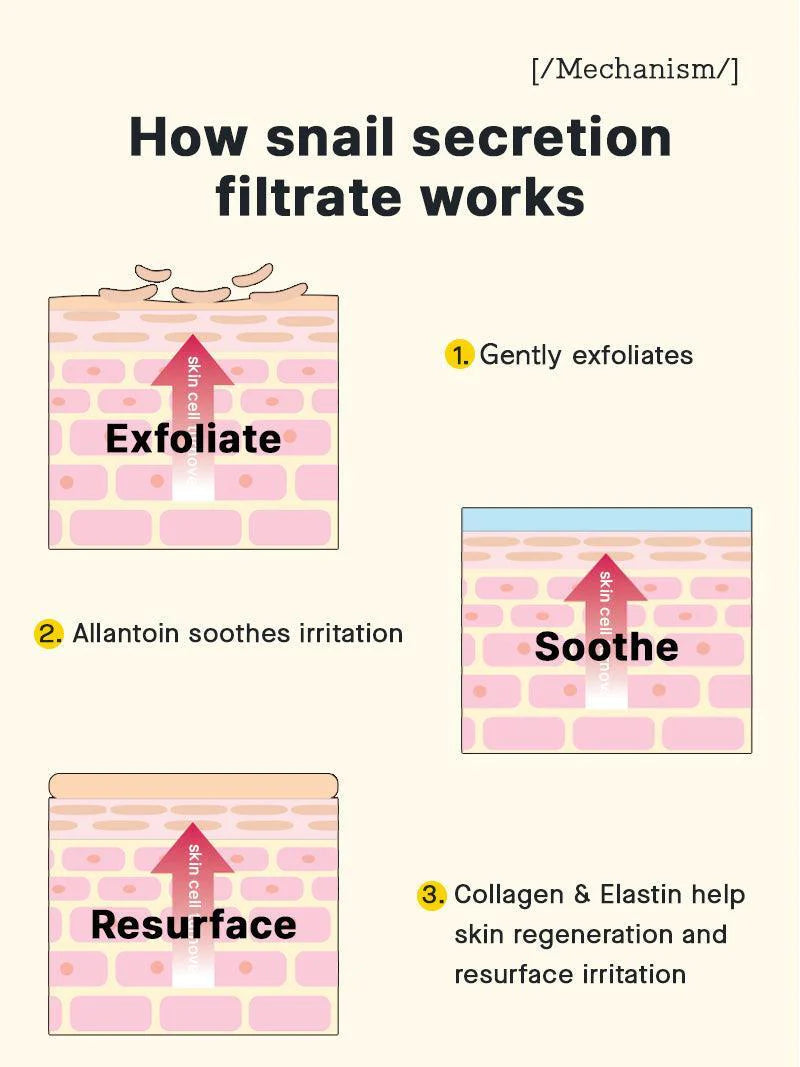 How snail secretion filtrate works – exfoliate, soothe and resurface skin with COSRX Snail 92 Cream