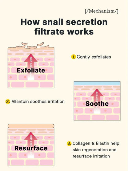 How snail secretion filtrate works – exfoliate, soothe and resurface skin with COSRX Snail 92 Cream